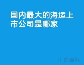 国内最大的海运上市公司是哪家