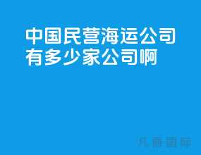 中国民营海运公司有多少家公司啊