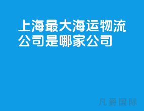 上海最大海运物流公司是哪家公司