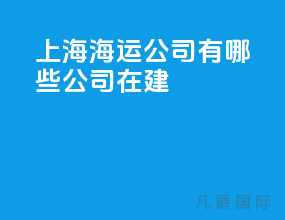 上海海运公司有哪些公司在建