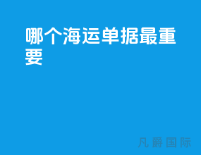 哪个海运单据最重要