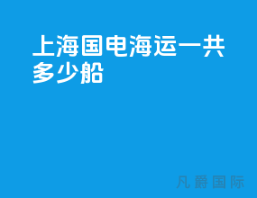 上海国电海运一共多少船