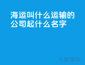 海运叫什么运输的公司起什么名字