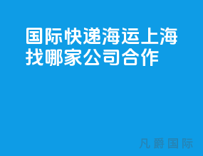 国际快递海运上海找哪家公司合作