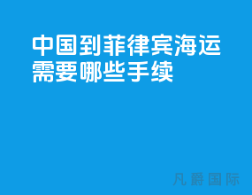 中国到菲律宾海运需要哪些手续