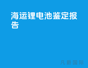 海运锂电池鉴定报告