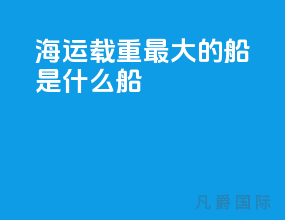 海运载重最大的船是什么船