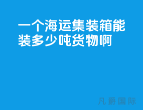 一个海运集装箱能装多少吨货物啊