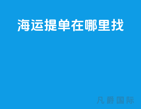 海运提单在哪里找
