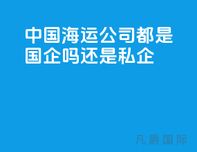 中国海运公司都是国企吗还是私企