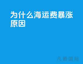 为什么海运费暴涨原因