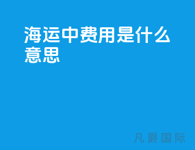 海运中local费用是什么意思