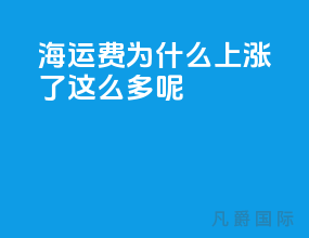 海运费为什么上涨了这么多呢