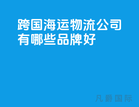 跨国海运物流公司有哪些品牌好