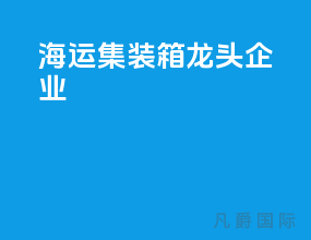 海运集装箱龙头企业