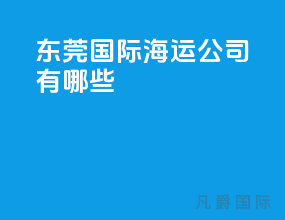 东莞国际海运公司有哪些