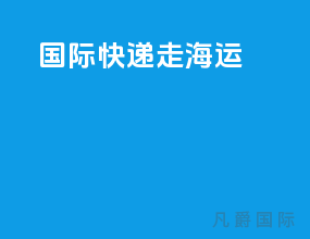 国际快递走海运
