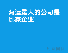 海运最大的公司是哪家企业