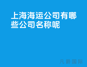 上海海运公司有哪些公司名称呢