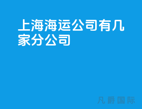 上海海运公司有几家分公司
