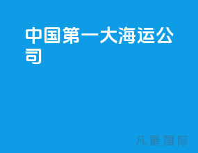 中国第一大海运公司