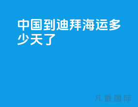 中国到迪拜海运多少天了