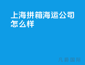 上海拼箱海运公司怎么样