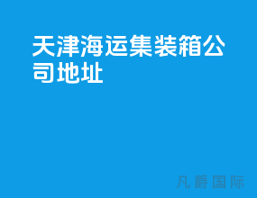天津海运集装箱公司地址