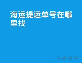 海运提运单号在哪里找