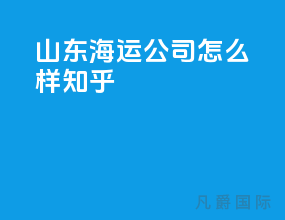 山东海运公司怎么样知乎
