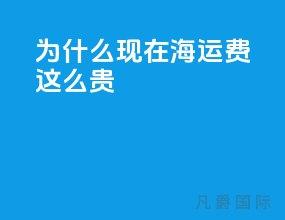 为什么现在海运费这么贵