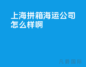 上海拼箱海运公司怎么样啊