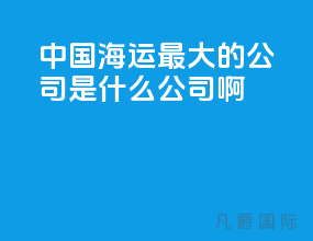 中国海运最大的公司是什么公司啊