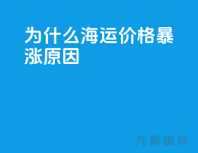 为什么海运价格暴涨原因