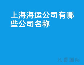 上海海运公司有哪些公司名称
