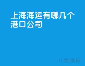 上海海运有哪几个港口公司