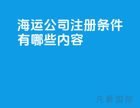 海运公司注册条件有哪些内容