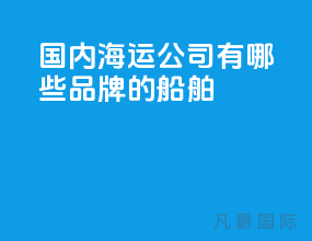 国内海运公司有哪些品牌的船舶