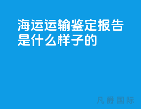 海运运输鉴定报告是什么样子的