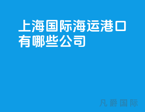 上海国际海运港口有哪些公司