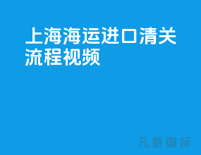 上海海运进口清关流程视频