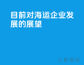 目前对海运企业发展的展望