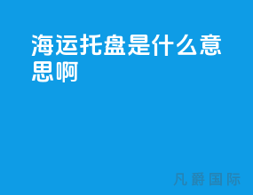 海运托盘是什么意思啊