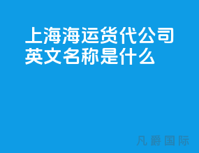 上海海运货代公司英文名称是什么