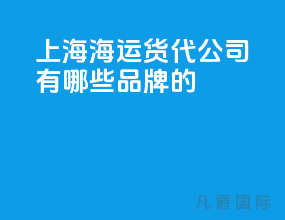 上海海运货代公司有哪些品牌的