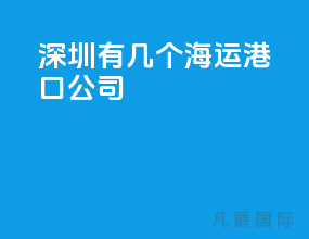 深圳有几个海运港口公司