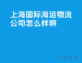 上海国际海运物流公司怎么样啊
