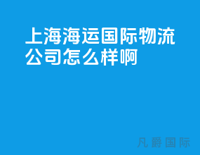 上海海运国际物流公司怎么样啊