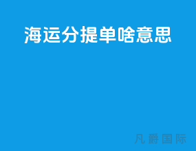 海运分提单啥意思