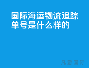国际海运物流追踪单号是什么样的